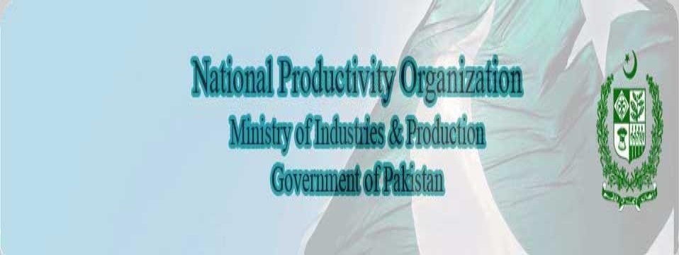 The National Productivity Organization (NPO)