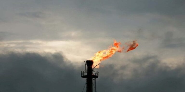 new oil gas reserves discovered in Pakistan