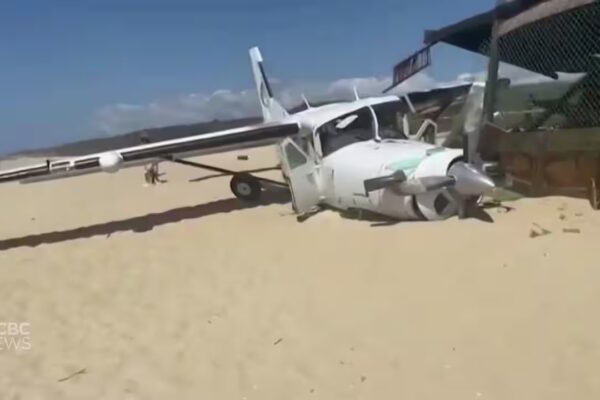 skydivers crashes