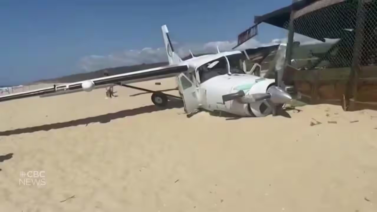skydivers crashes