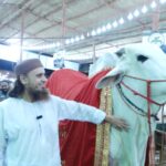 Mufti Tariq Masood visits Northern Bypass Cattle market