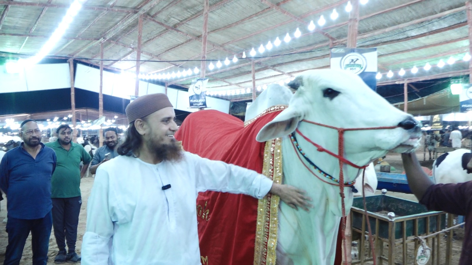 Mufti Tariq Masood visits Northern Bypass Cattle market