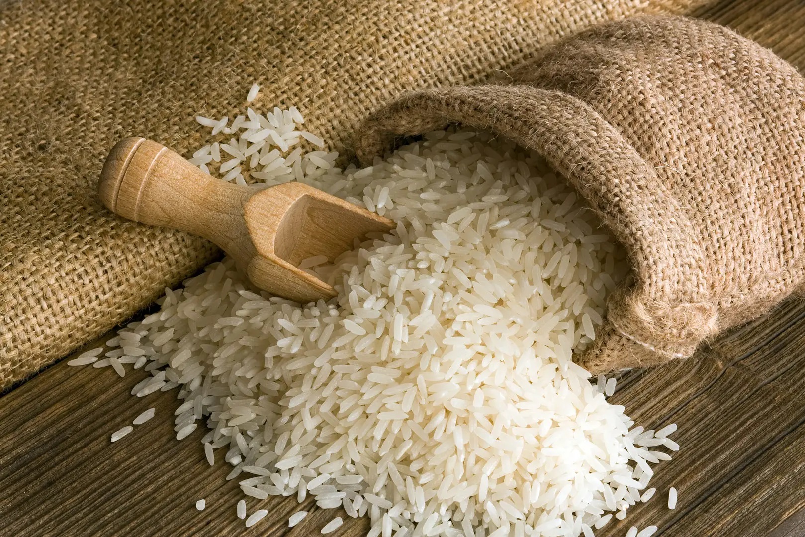 Rice exports