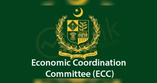 ECC Approves EV Subsidy, Rs30bn TSG for Remittance Claims, and Rs2bn Grant for QAU