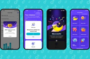 TikTok safety tools for families