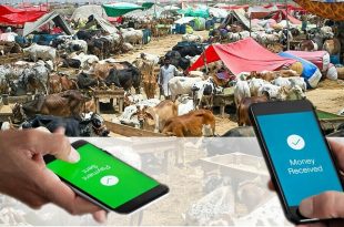 State Bank of Pakistan Launches Nationwide "Go Cashless" Campaign for Eid-ul-Azha
