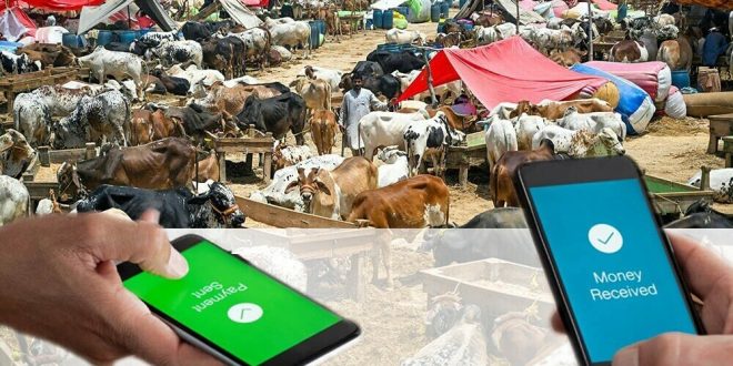 State Bank of Pakistan Launches Nationwide "Go Cashless" Campaign for Eid-ul-Azha