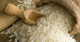 Pakistan Rice Festival 2026 Draws 100+ European Buyers, Strengthens Basmati Exports