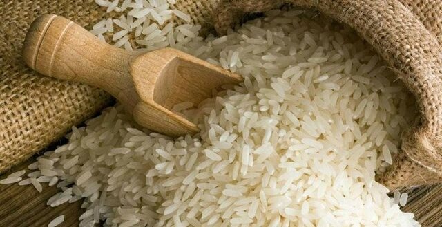 Pakistan Rice Festival 2026 Draws 100+ European Buyers, Strengthens Basmati Exports