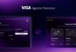Visa Launches AI, Stablecoin Solutions to Advance Digital Commerce Across CEMEA