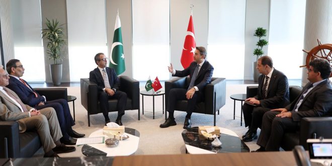 Pakistan and Türkiye Hold High-Level Consultations on Power Sector Privatisation and Reforms in Istanbul