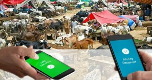 SBP Drives Strong Shift to Digital Payments Through Eid-ul-Azha 2026 “Go Cashless” Campaign