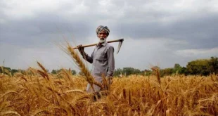 Karandaaz Partners with Kissan Gudam to Boost Digital Financing for Farmers