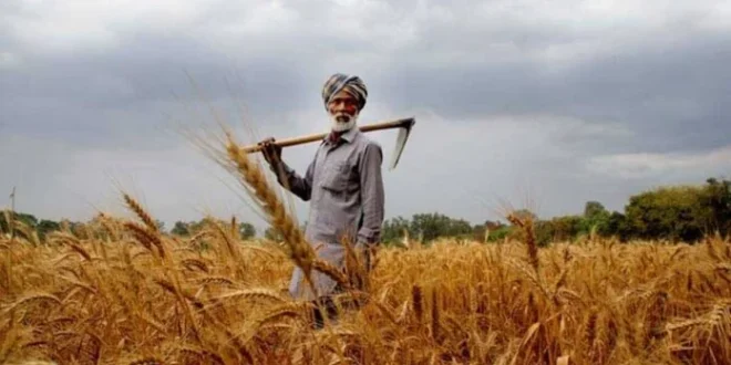 Karandaaz Partners with Kissan Gudam to Boost Digital Financing for Farmers