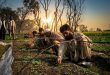 Tobacco Farmers Face Procurement Crisis as PTB Policy Gaps Deepen Uncertainty
