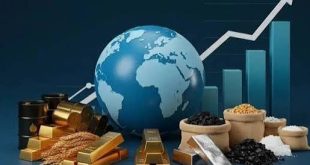 Zubair Tufail Calls for Focus on Raw Materials and Import Substitution
