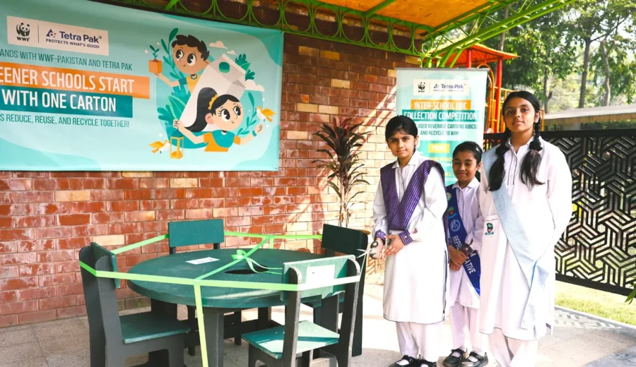 Lahore School Wins Recycling Award After Collecting 173kg of Used Cartons